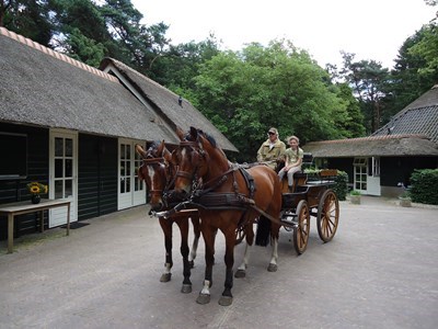 Bennekomse Bos