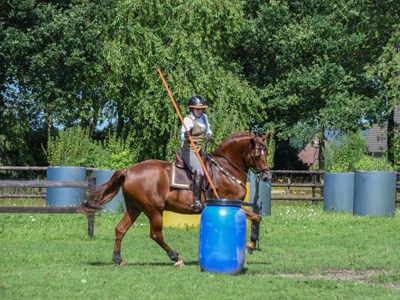 Working Equitation trainingsdag Working Equitation trainingsdag