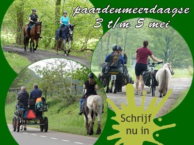 Barchemse Paardenmeerdaagse Barchemse Paardenmeerdaagse