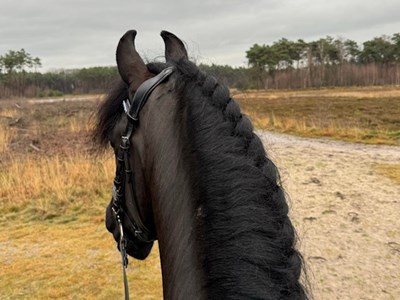 Ruiterroute Gorsselse heide