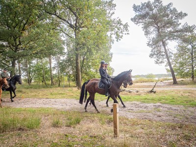 Vessem Heieinden route