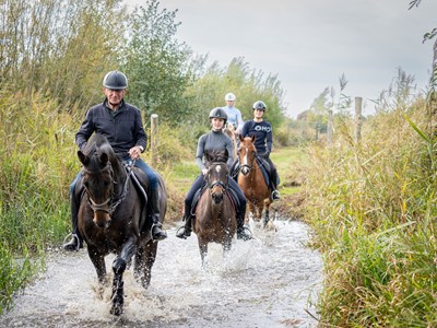 Van dun Heikaant nor ut Broek