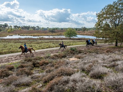 Ride for Villa Pardoes