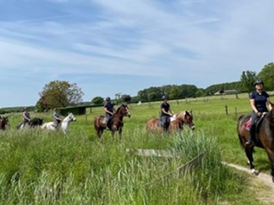 Stal Huib van der Weide