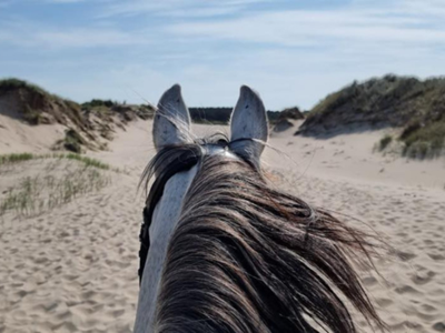 16 km genieten in de Schoorlse duinen