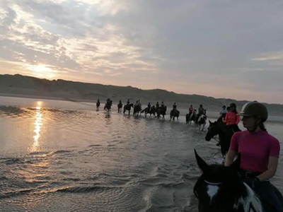 Horseworld Tinte