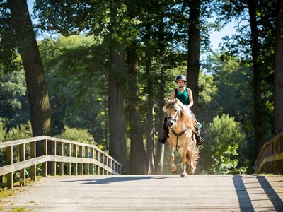Recreatiecentrum de Heksenlaak route in de Achterhoek