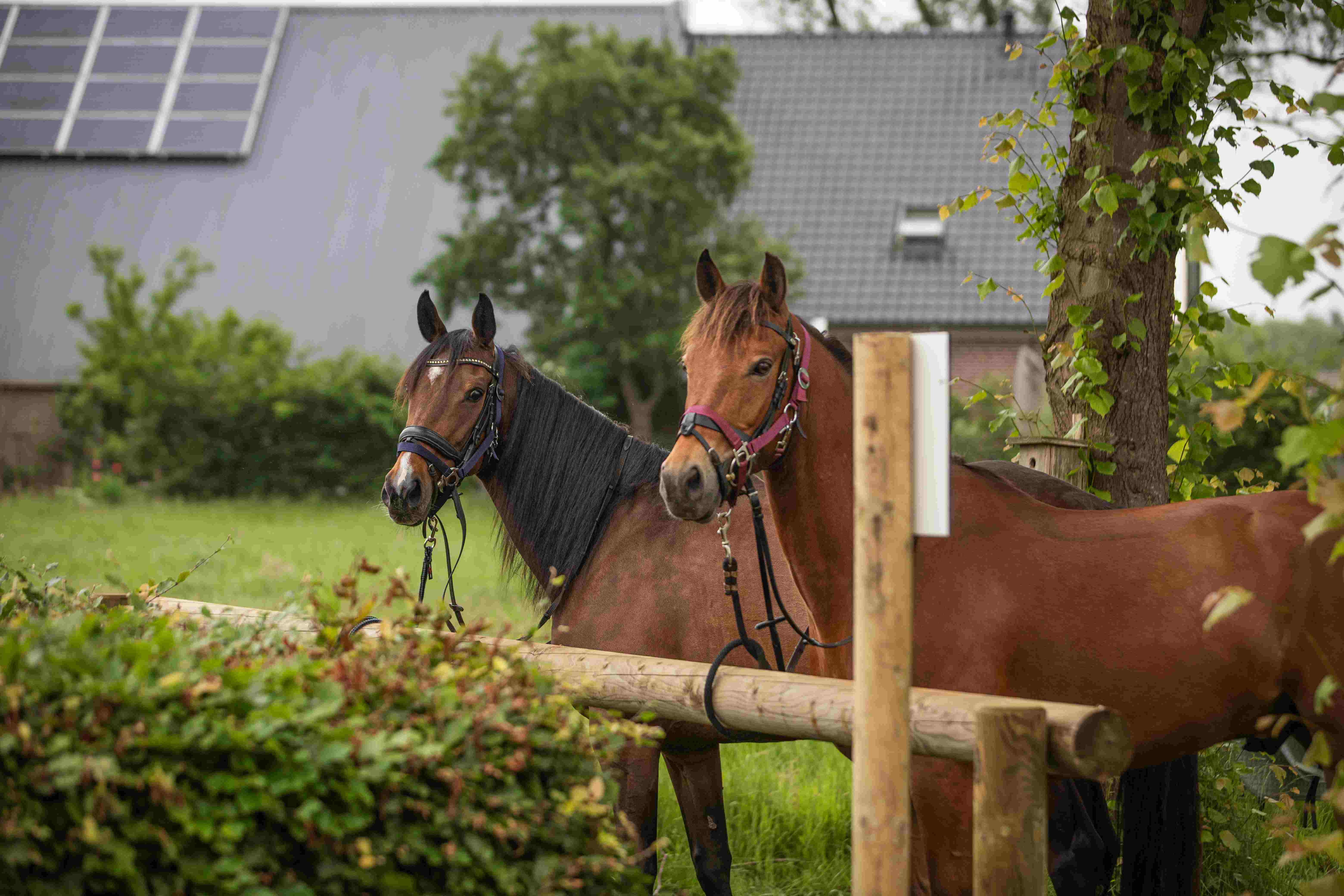 De Heide en Wold route met horecarustpunt