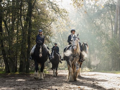KERST RIT door de Drunense duinen 