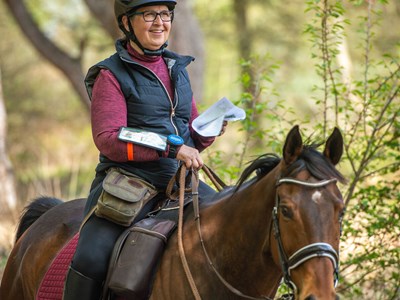 TREC Eersel, T0 t/m T4 (internationaal