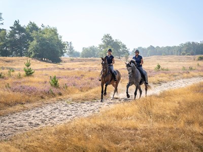 Tweedaagse Paardentoertocht