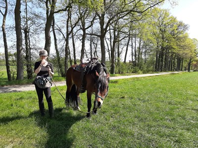 Ruiter- en menroute Winterswijk