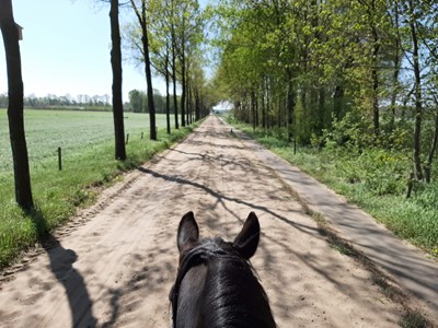 Winterswijk dagtocht langs Duitse grens