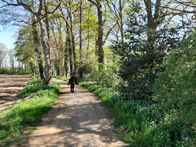 Rondje Winterswijk west vanaf den Möllenhof