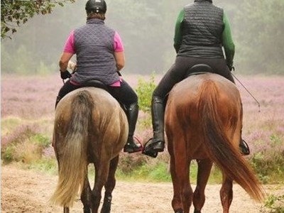 Route Cyriasisch Veld Leuvenum