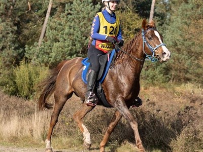 Online kennismaking Endurance