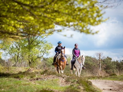 Buitenrit over de Veluwe