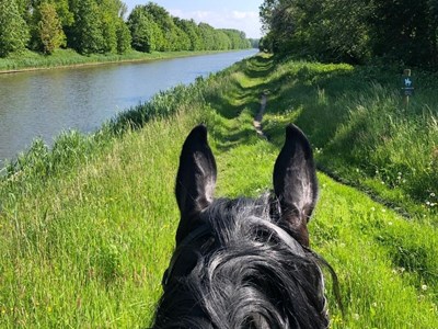 In Lelystad over de bodem van de Zuiderzee