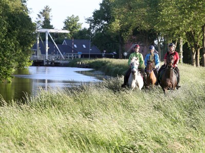 Ruiterroute Roegwold