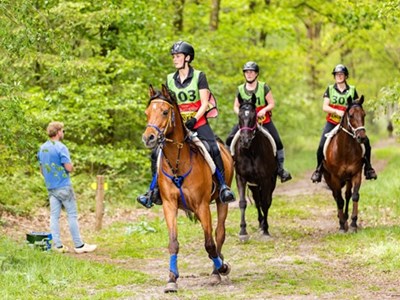 Online Informatie Meeting; Van start tot finish