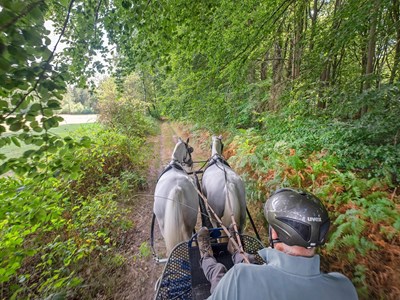 Blauwe ruiter- en menroute Holtingerveld