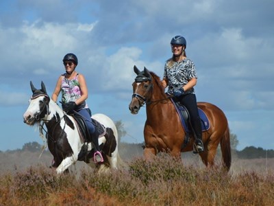 Ermelose Paarden Tweedaagse