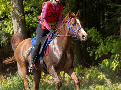 Online kennismaking met Endurance