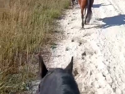 Ride and Pizza 