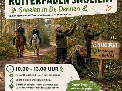 Snoeien in de Dennen, Texel