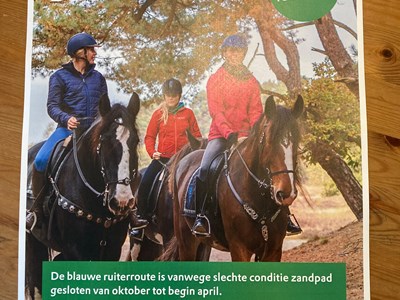 Dwingelderveld Blauwe ruiter- en menroute