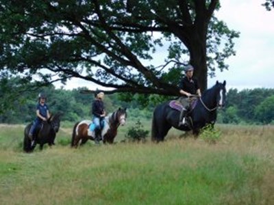 Buitenrit Drenthe met leuke pony’s & paarden