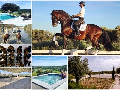 Dressuurpaardrijdvakantie op Lusitano's in Portugal Dressuurpaardrijdvakantie op Lusitano's in Portugal