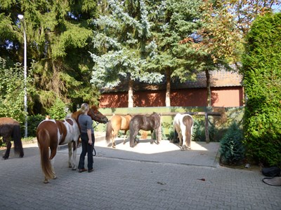 Paardenpension Jagerhof 