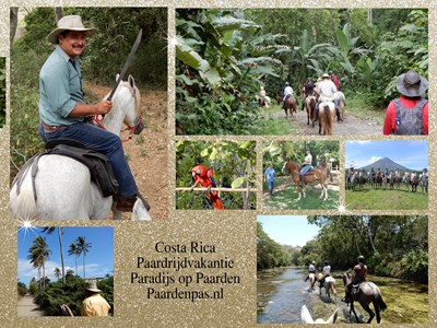 Regenwoud paardrijdvakanties Costa Rica