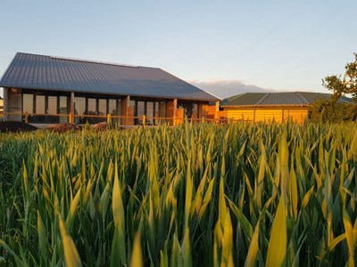 Trainings- en africhtingsstal Naber-Lozeman Trainings- en africhtingsstal Naber-Lozeman