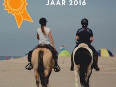 Exclusieve strandrit: Mijn favoriete strand! Exclusieve strandrit: Mijn favoriete strand!
