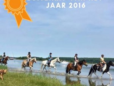 Buitenrit dijk, strand & bos. Wat een beleving! Buitenrit dijk, strand & bos. Wat een beleving!