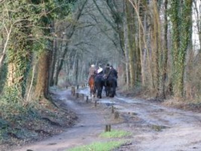 Buitenrit Overijssel; Heerlijk buitenrijden Buitenrit Overijssel; Heerlijk buitenrijden