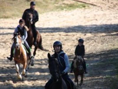 Bosrit te paard een prachtige rit! Bosrit te paard een prachtige rit!