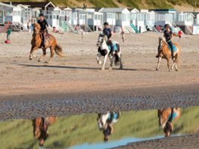 Strandrit Heemskerk, Beverwijk & Wijk aan zee Strandrit Heemskerk, Beverwijk & Wijk aan zee
