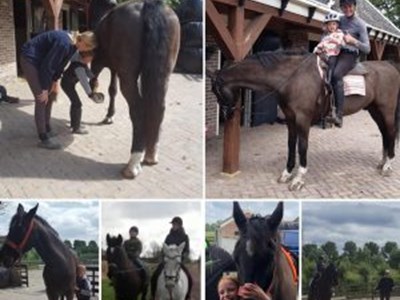 Paardenervaring voor kinderen Paardenervaring voor kinderen