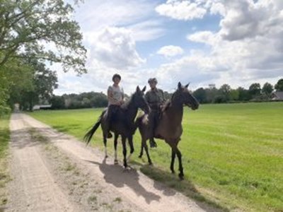 Exclusieve buitenrit op Akhal Teke paarden Exclusieve buitenrit op Akhal Teke paarden