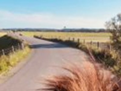 Buitenrit met IJslanders (bitloos) Buitenrit met IJslanders (bitloos)
