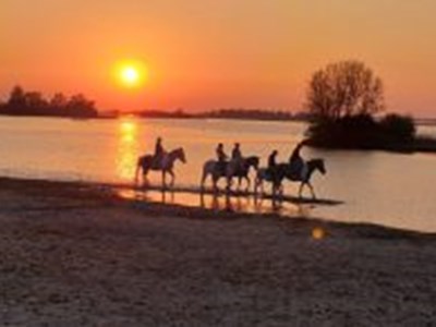Zonsondergang strandrit. Puur genieten! Zonsondergang strandrit. Puur genieten!