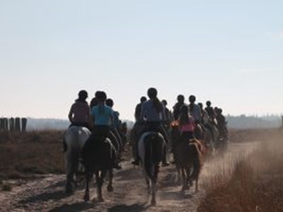 Buitenrit in natuurgebied de Regte Heide Buitenrit in natuurgebied de Regte Heide