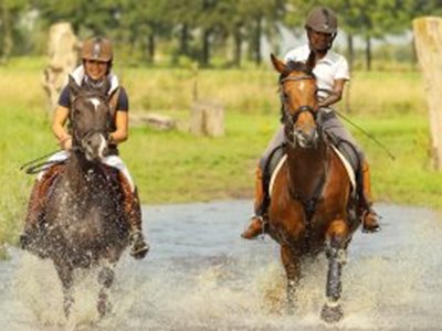 Trektocht te paard 3 dagen Trektocht te paard 3 dagen