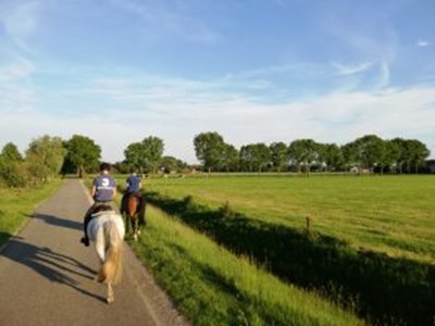 Buitenrit met eigen paard. Geheel verzorgd Buitenrit met eigen paard. Geheel verzorgd