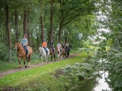 Fijne bosrit voor jong & oud Fijne bosrit voor jong & oud