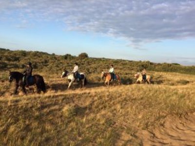 Buitenrit te paard Noord Holland Buitenrit te paard Noord Holland