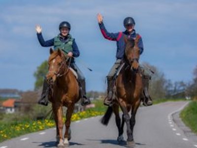 Bitloos paardrijden langs het IJsselmeer